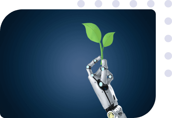 Sustainability & Innovation